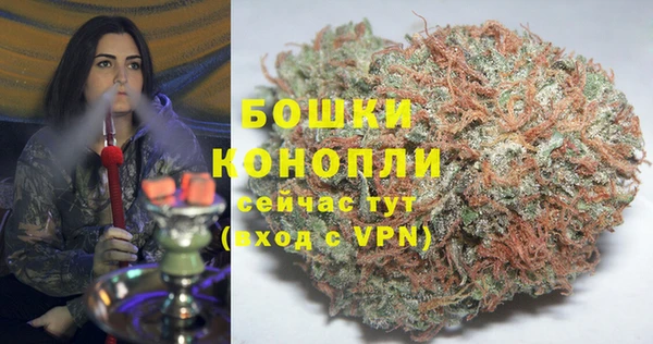 ALPHA PVP Белокуриха